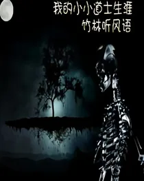 我的小小道士生涯