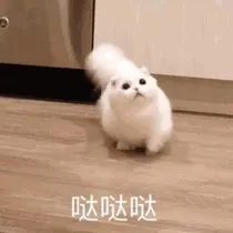 叶罗丽之创世女神复仇记。新版。