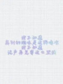 精选评论铺