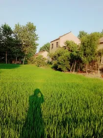 追忆——奶奶的爱