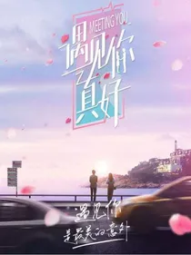 遇见2：最美的意外