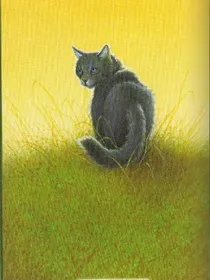 猫武士之炭毛的抉择