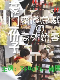 豪门一份子：霸道总裁与意外娇妻