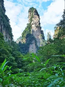 穆然情狐恋魔心