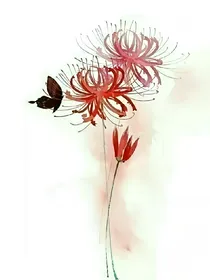 彼岸花，梦殇之花，天心无限花笑颜