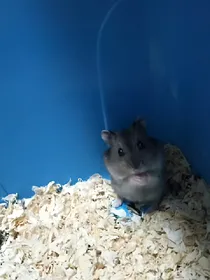 陌生人，请多关照
