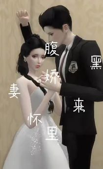 腹黑娇妻来怀里