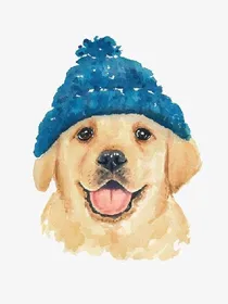 请叫我黄金巡回猎犬