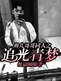 辫儿哥哥同人之追光青梦