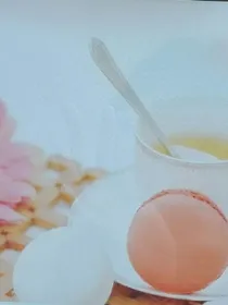 吸血鬼之天使女孩