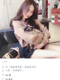 鬼故事集组织