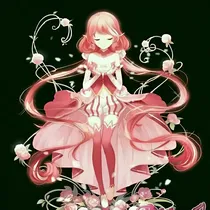 小花仙之奇迹公主与精灵公主