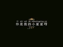 你是我的小星星呀