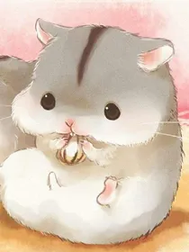 仓鼠和龙猫