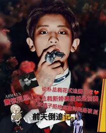 前夫倒追记