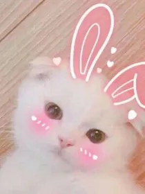 神王宠妻：废柴大小姐