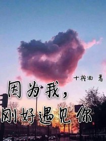 因为我，刚好遇见你