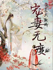 宠妻无度，临王太傲娇