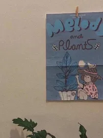 那年夏天，我们相遇了