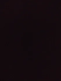 情道