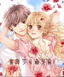 高冷少爷赖定我！
