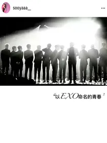 EXO：十七岁