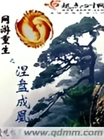 网游重生之涅盘成凰
