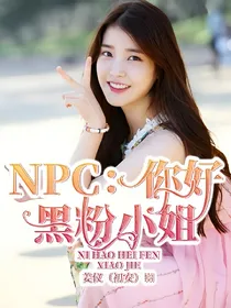 NPC：你好，黑粉小姐