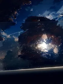 幻想世界之世界树