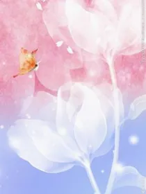 神兽金刚之魔法学院