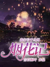 赛尔号千鸟阁记事簿：烟花记