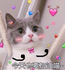 喜欢你鸭！！！！