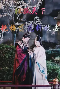 独孤天下艳梅落花折枝去
