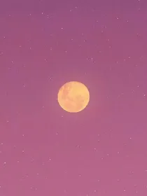 我在你最后的海