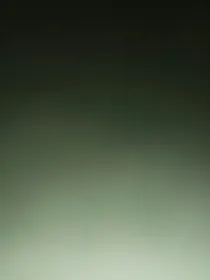 蝶恋梦，追忆