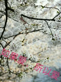 如果爱，所有爱