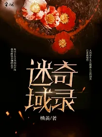 迷域奇录