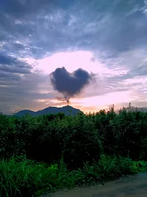 单纯的那些年