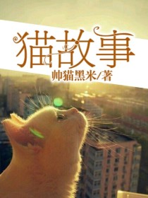 猫故事