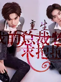 重生我的总裁老公：要抱抱