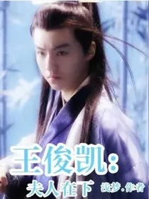 王俊凯:夫人在上