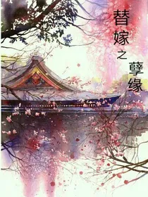 替嫁之孽缘