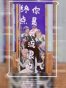 BTS之你是我流浪的终点
