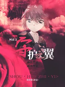 柯南之守护之翼