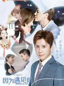 因为遇见你：情深不悔