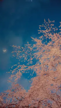 逆天王妃:拐个王爷当夫君