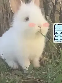 香蜜：殊途同归，未华丽先凄美