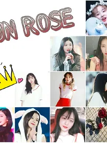 GunRose枪与玫瑰