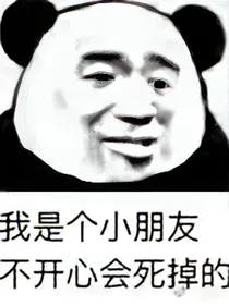 你是我眼中划过的一抹星火