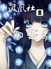 凤凰社里的知更鸟